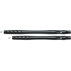 Canon Progressive 2K9 14 Cocker