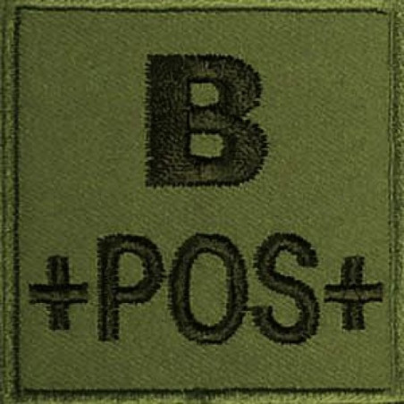 Patch Tissu Groupe Kaki B+