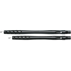 Canon Progressive 2K9 12 Cocker