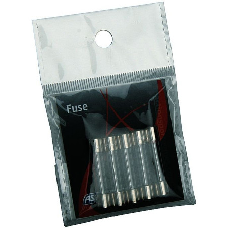 Fusible 25 Amp. tube en verre 5 pcs.