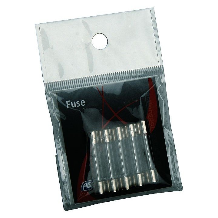 Fusible 25 Amp. tube en verre 5 pcs.
