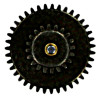 ASG 17831 Scorpion EVO SPUR GEAR 17717
