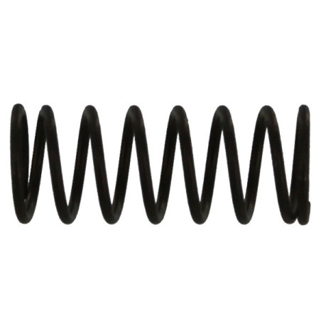 Locking Button Spring (S8)