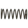 Locking Button Spring (S8)