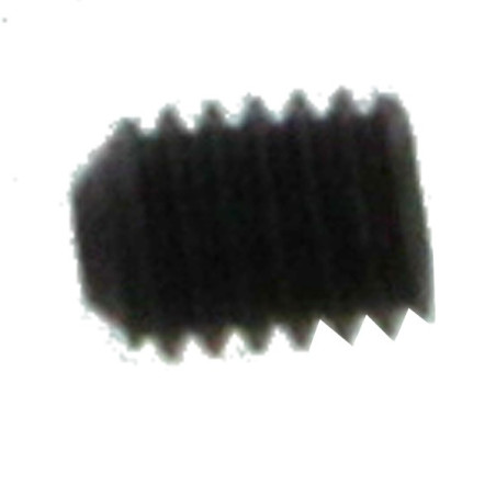 BOLT M3X4 DIN916 (BO13)