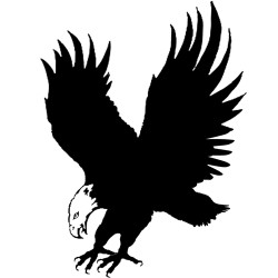 Baby Barrel Black Eagle Autococker