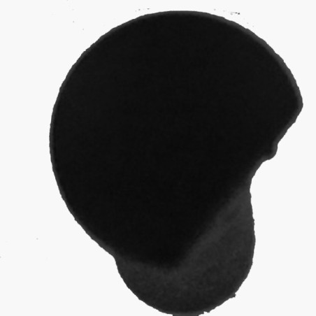 17556 Female