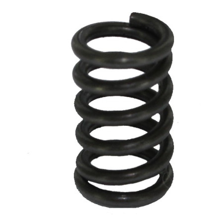 288503 Petite ressort