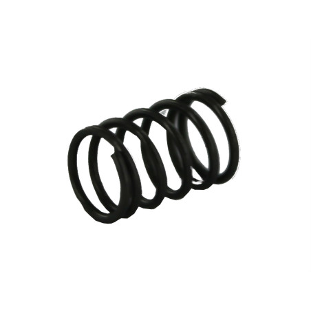 16182 Dan wesson 1-36 ressort