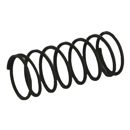 16165 Ingram M11 81 Spring