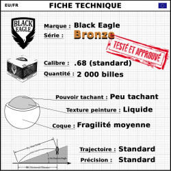Carton de 2000 billes Paintball C68 Bronze