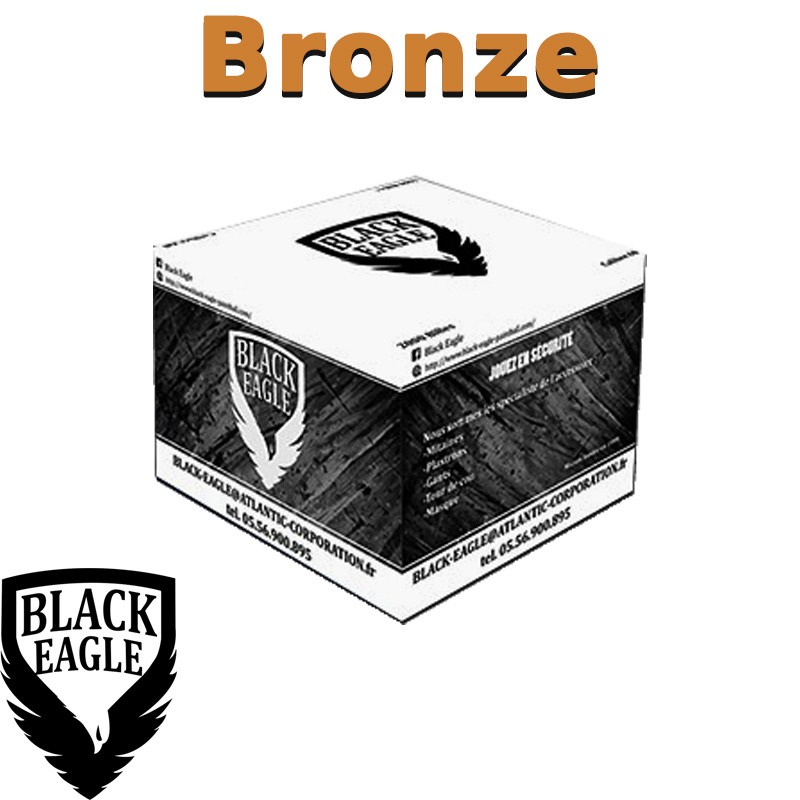 Carton de 2000 billes Paintball C68 Bronze