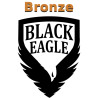 Carton de 2000 billes Paintball C68 Bronze