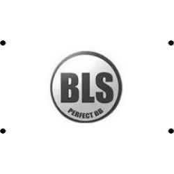 0.25g Specna Arms CORE BBs - 1kg