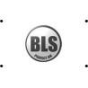 0.25g Specna Arms CORE BBs - 1kg