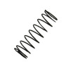 Cylinder Valve Spring for KJW KC-02