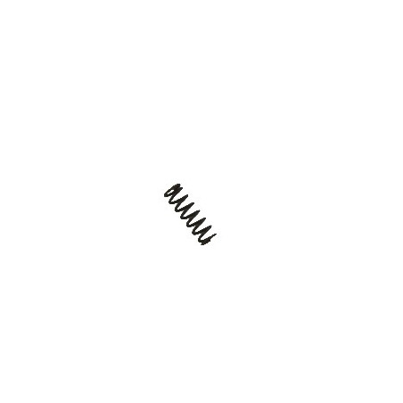 15564 CZ75D Rear Sight Spring 2-06