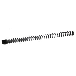 17398 ASG 13 Spring
