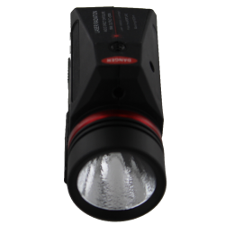 Flashlight with laser