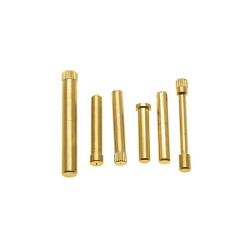AAP01 S.S. Pin Set - Gold