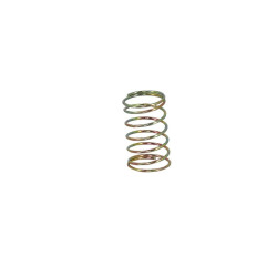 Nozzle Valve Spring