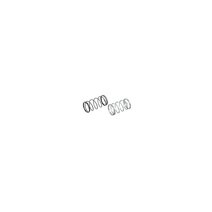 Nozzle Valve Spring