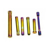 AAP-01 Stainless Steel Pin Set - ERB