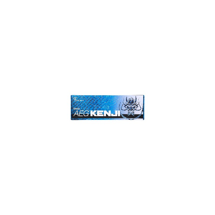 saigo kenji short tan airsoft réplique électrique