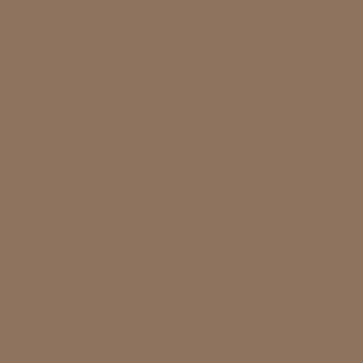 Military spray paint US Olive camouflage - Airsoft resistant spray