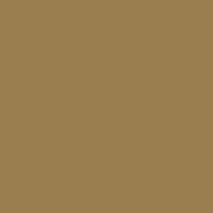Pulvérisateur aérosol militaire WK Khaki camouflage tactique