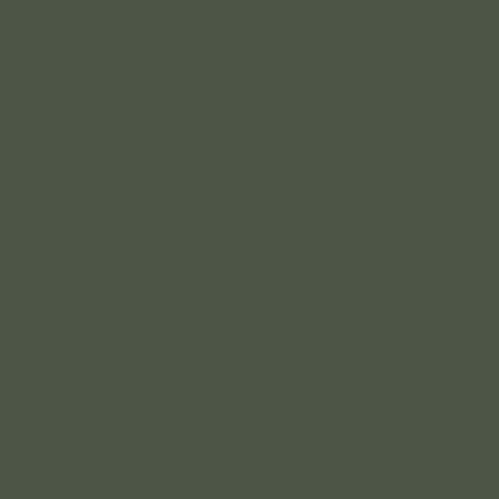 DDR Green military spray paint - Fosco: robust spray paint, camouflage car and equipment