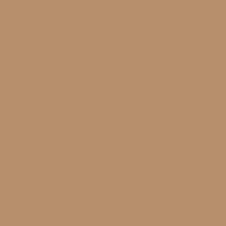 Brown spray paint RAL 7028 Wehrmacht - Fosco Industries