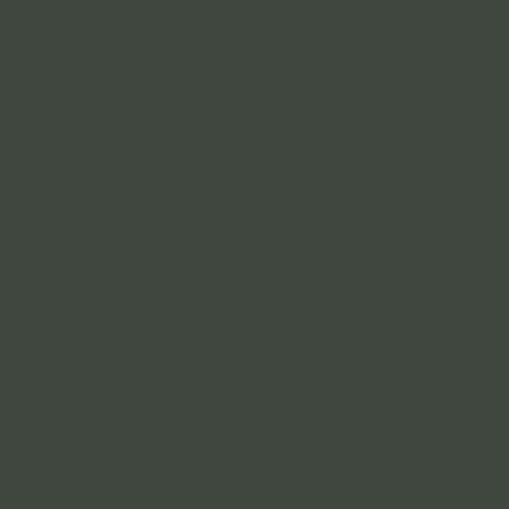 Fosco matte military spray paint - 400ml Forest Green