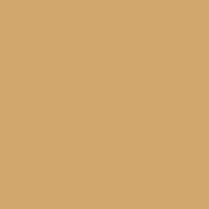 Fosco matte military spray paint - 400ml brown beige