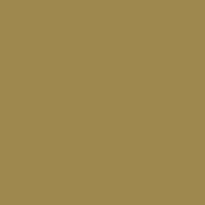 Fosco military spray paint matte - 400ml brown FLECKTARN GRUN