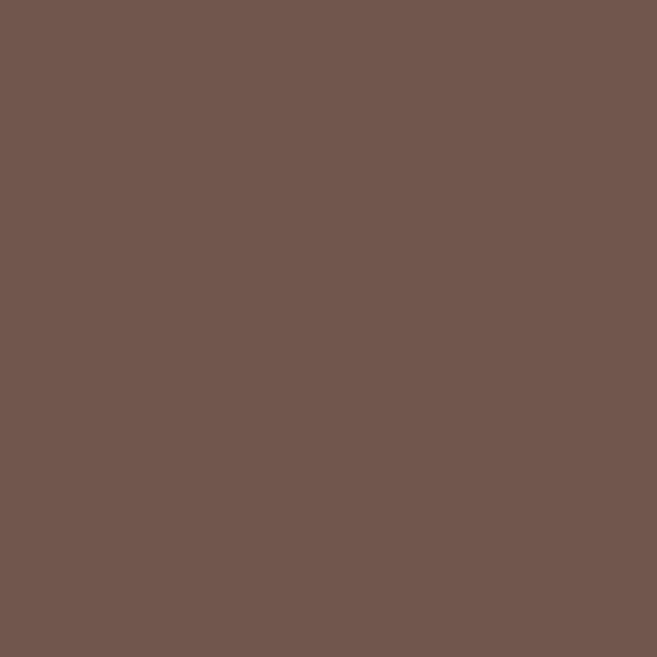 bombe spray peinture airsoft MUD BROWN RAL 8027