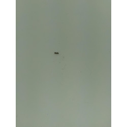 Selector Spring [KP-08_101]