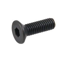 VIS POUR RMR TRIJICON PISTOLET GLADIUS MAGNA SECUTOR