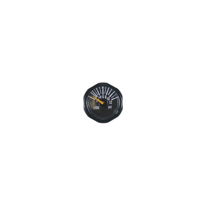 Micro Gauge 1200 PSI Invert