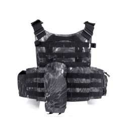 Kryptek Camo Color Molle Combat Strike Plate Carrier...