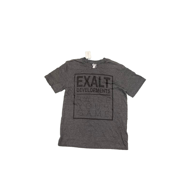 Exalt T Shirt Grey Developpement M