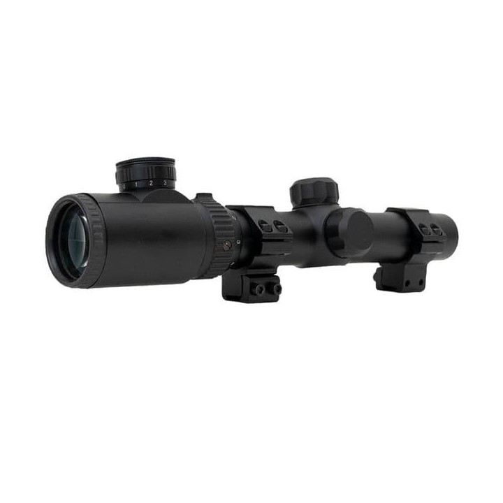 Lunette Swiss Arms 1,25-6x26E lumineuse avec montages 11 mm Weaver