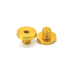 AIP Grip Screws for TM 4.3 / 5.11 GOLD